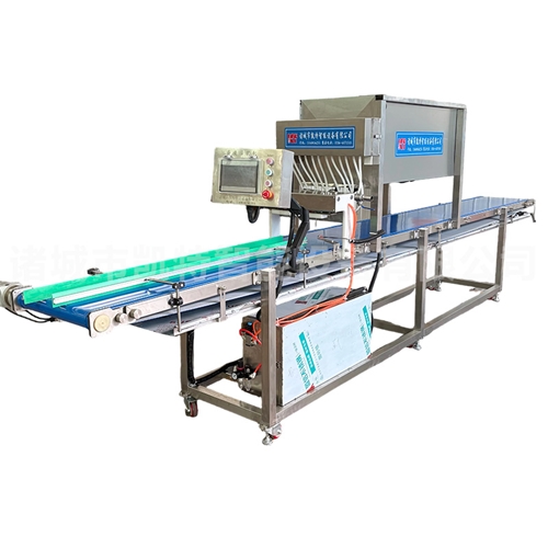 Egg filling machine